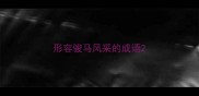 形容骏马风采的成语
