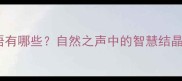 泉水声的成语有哪些自然之声中的智慧结晶与意境之美