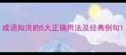 成语如洗的5大正确用法及经典例句