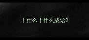 十什么十什么成语