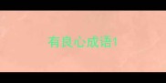 有良心成语