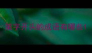 策字开头的成语有哪些