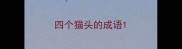 四个猫头的成语