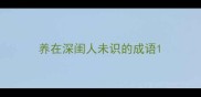 养在深闺人未识的成语