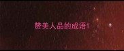 赞美人品的成语