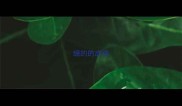 缠的的成语