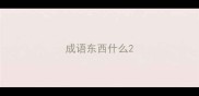 成语东西什么