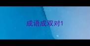 成语成双对