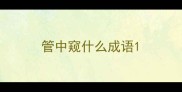 管中窥什么成语