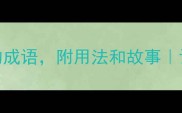 整理100个含表的成语附用法和故事语文老师私藏干货