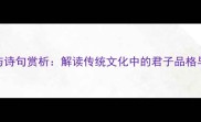 荷花成语与诗句赏析解读传统文化中的君子品格与自然意象