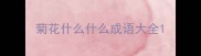 菊花什么什么成语大全