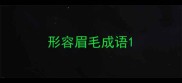 形容眉毛成语
