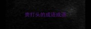 贵打头的成语成语