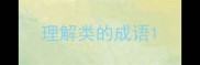 理解类的成语
