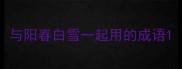 与阳春白雪一起用的成语