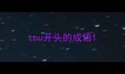 tou开头的成语