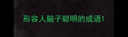 形容人脑子聪明的成语