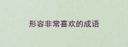 形容非常喜欢的成语
