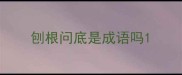 刨根问底是成语吗