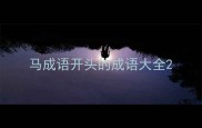马成语开头的成语大全