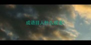 成语目人什么成语