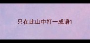 只在此山中打一成语