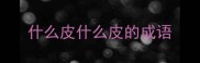 什么皮什么皮的成语