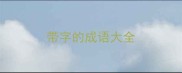 带字的成语大全