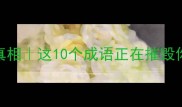 害人害己的成语扎心真相这10个成语正在摧毁你的生活附避坑指南