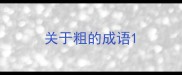 关于粗的成语
