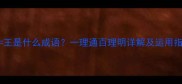 11王是什么成语一理通百理明详解及运用指南
