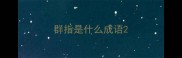 群指是什么成语