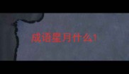 成语星月什么