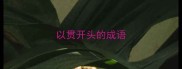 以贯开头的成语