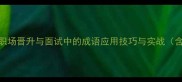 立足成语职场晋升与面试中的成语应用技巧与实战含完整攻略