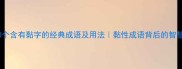 10个含有黏字的经典成语及用法黏性成语背后的智慧