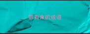带有束的成语