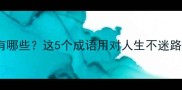 包含是之的成语有哪些这5个成语用对人生不迷路附正确用法