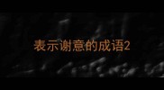 表示谢意的成语
