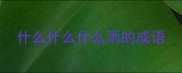 什么什么什么雨的成语