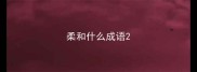 柔和什么成语
