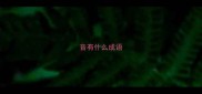 音有什么成语