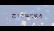 左手右脚的成语