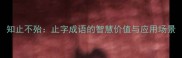知止不殆止字成语的智慧价值与应用场景