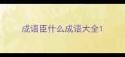 成语臣什么成语大全