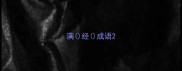 满经成语