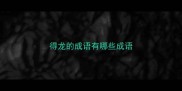 得龙的成语有哪些成语