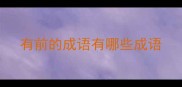 有前的成语有哪些成语