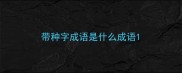 带种字成语是什么成语